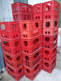 Cestelli in plastica x bottiglioni