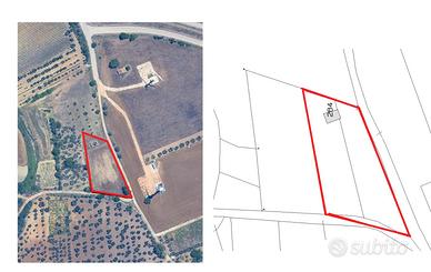 Terreno orto vigneto