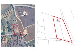 Terreno orto vigneto