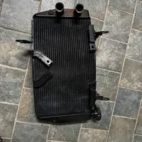 Radiatore Hypermotard 950