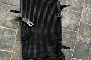 Radiatore Hypermotard 950