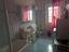 Immagine 23