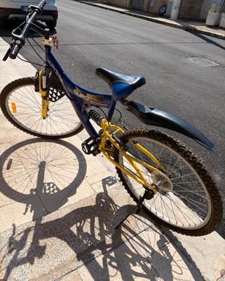 Bicicletta Mountain Bike