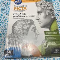 Libro grammatia picta seconda edizione