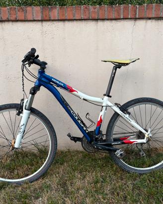 Mtb Lee cougan rebel