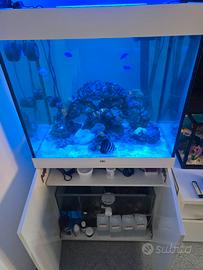 Acquario marino 200 litri
