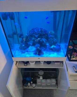 Acquario marino 200 litri
