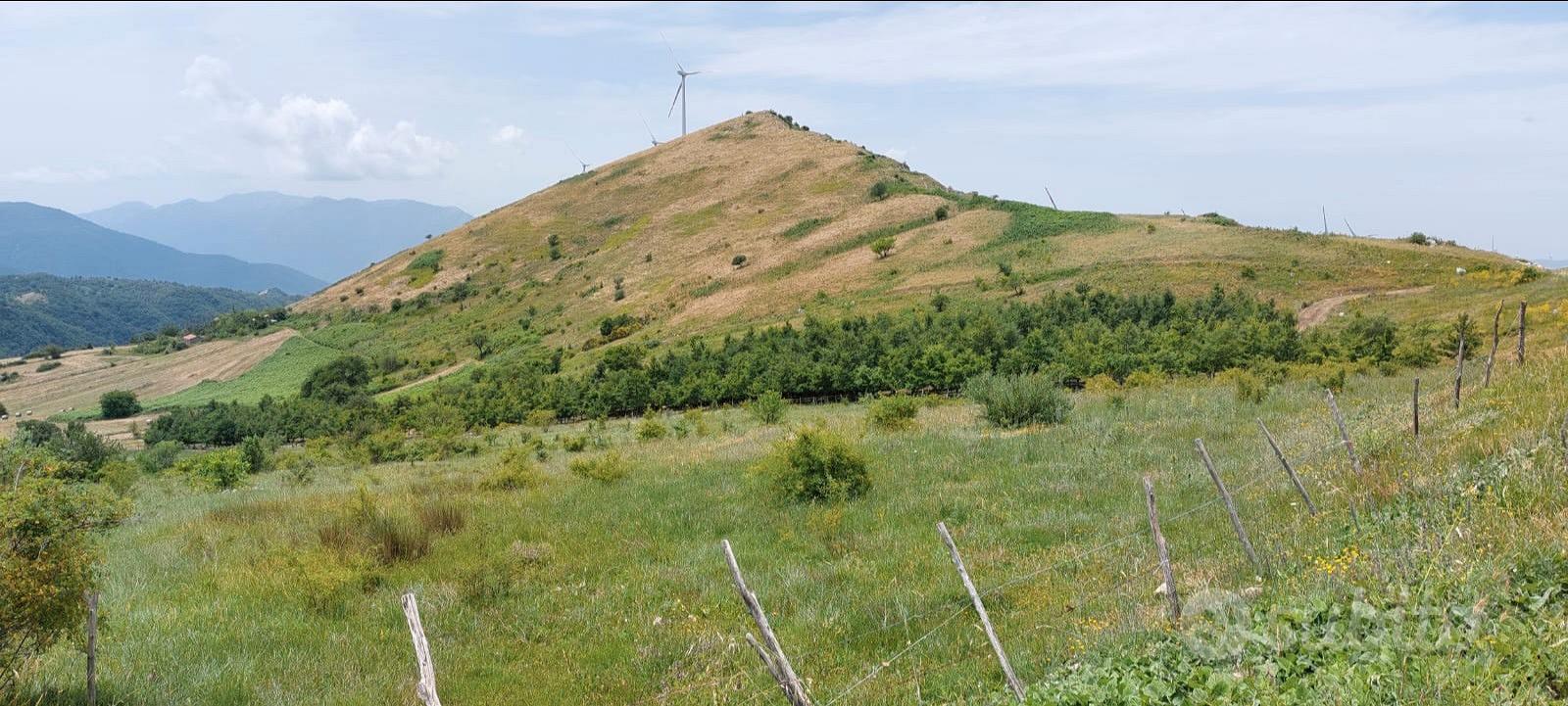 Terreno agricolo con bosco - Vista 4