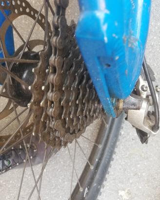 Bicicletta Mtb