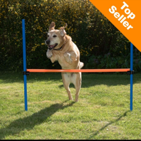 Set salto agility cani