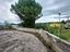 Immagine 19