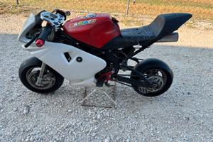 minimoto