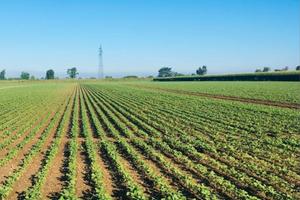 Azienda agricola a seminativo irrigua
