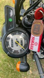 Yamaha Tricker 250