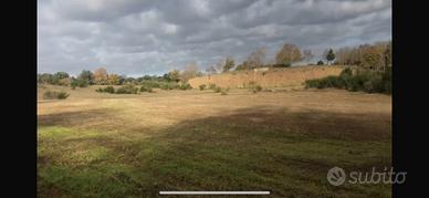 Tenuta castel sant elia (vt)