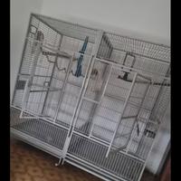 Voliera pappagalli Montana XXL