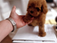 Immagine 10