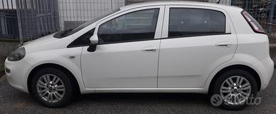 Fiat Punto 1.3 Multijet per neo patentati