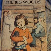 Libro Laura Ingalls La casa nella prateria inglese