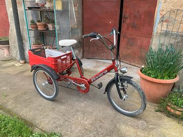 Triciclo bici a tre ruote