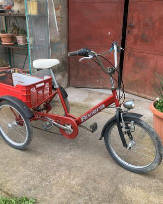 Triciclo bici a tre ruote cargo bike
