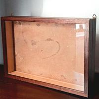 Bella teca espositore in legno vetro, da appendere