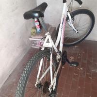 bicicletta