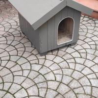 casetta cane in legno