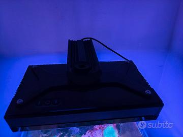 echotech radion xr30 g4 pro