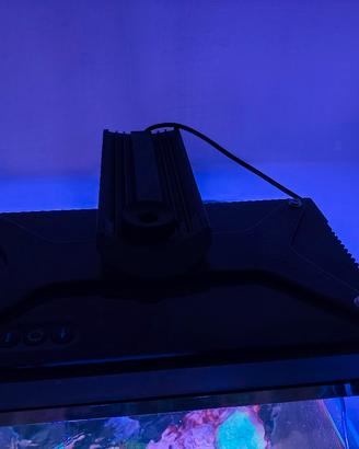 echotech radion xr30 g4 pro