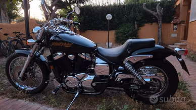 HONDA VT 750 Black Widow