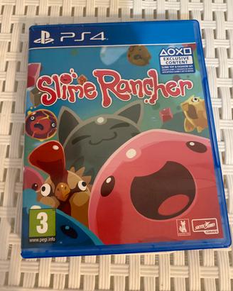 Disco della playstion 4 come nuovo
