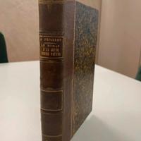Libro antico in lingua francese 1876