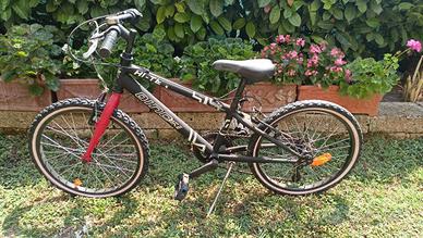 Bicicletta 20