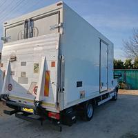 Iveco Daily 50C15 cella frigo pedana idraulica 