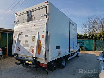 Iveco Daily 50C15 cella frigo pedana idraulica 