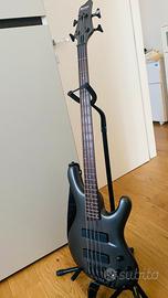 Basso Ibanez ergodyne