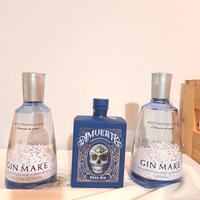 Set bottiglie Gin VUOTE