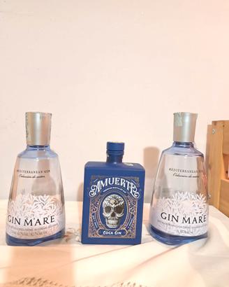 Set bottiglie Gin VUOTE