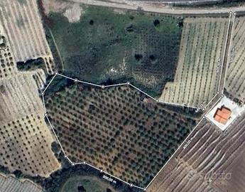 Terreno per villa