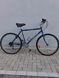 bicicletta mountain bike ruote da 26