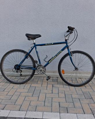 bicicletta mountain bike ruote da 26