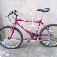 Bici mountain bike MTB uomo - ruote 26