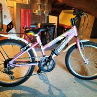 bicicletta bambina 20 pollici