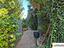 Immagine 16