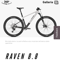 MTB Raven focus