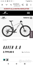 MTB Raven focus