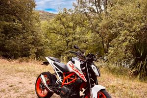 Duke 390