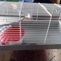 gabbia per criceto 