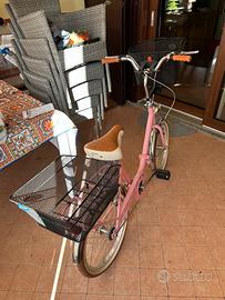 Bicicletta pieghevole con cestini